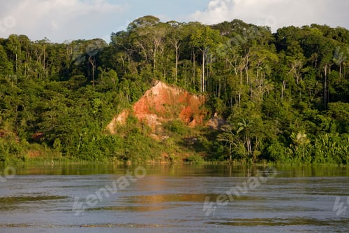 Preview: Hut At The Riverside Of Amazon River Near Panelas, Brazil