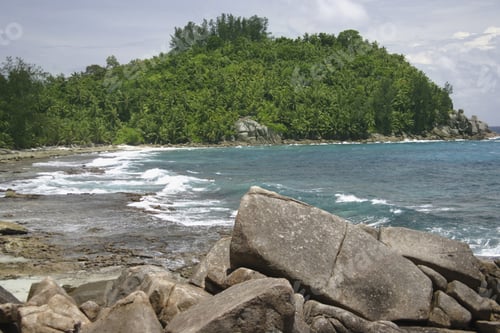 Preview: Rocks And Palm Trees Along Beach, Police Bay, Mahe', Seychelles