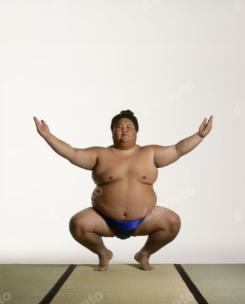 Preview: View Of A Sumo Wrestler Squatting
