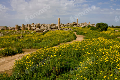 Preview: Ruins Of Temple F And Temple G At Selinunte, Province Of Trapani, Sicily, Italy