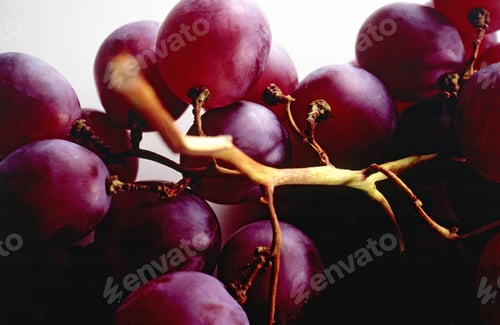 Preview: Still Life Of A Bunch Of Grapes