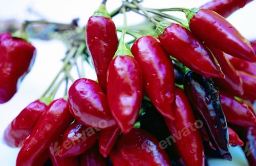 Preview: Still Life Of A Bunch Of Chilies