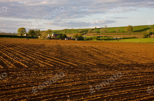Preview: A Ploughed Field In Autumn, Milborne Port, Sherborne, Dorset, Uk