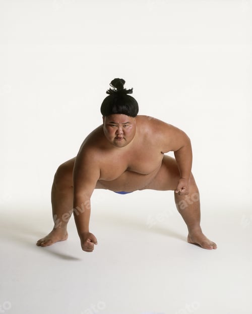 Preview: View Of A Sumo Wrestler Squatting