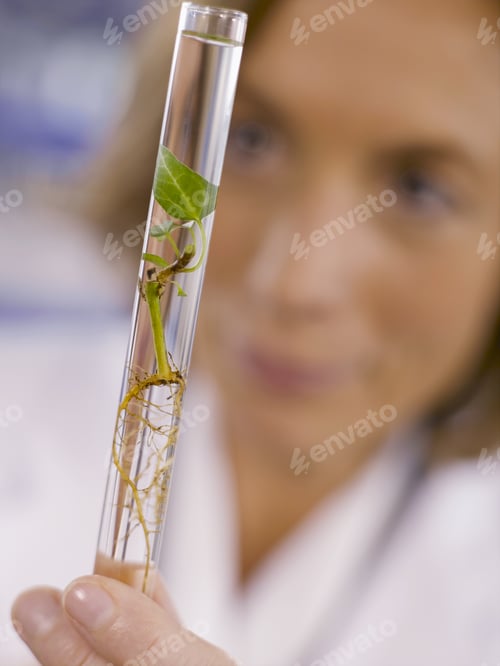 Preview: Senior Female Scientist Examining Liquid And Plant In Vial