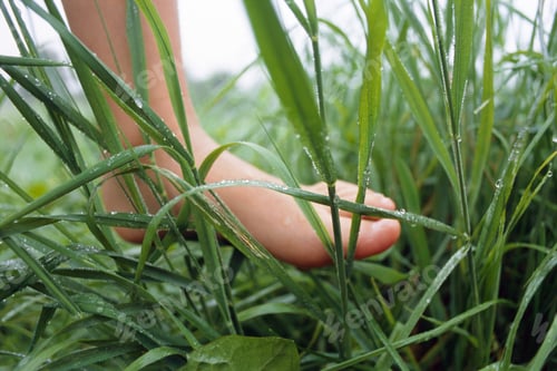 Preview: Girl Walking Through Wet Grass