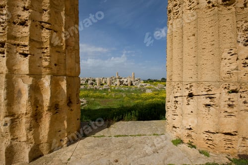 Preview: View Between Columns Towards Ruins Of Temple F And Temple G At Selinunte, Province Of Trapani
