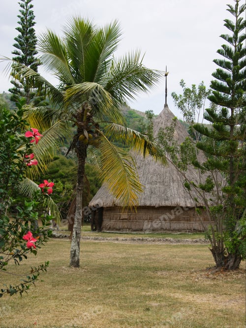 Preview: Cultural Center Goa Ma Bwarat Close To Hienghene, New Caledonia, Overseas Territory Of France