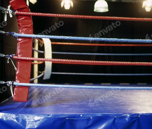 Preview: View Of A Boxing Ring