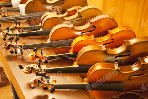 Preview: Violins For Sale In A Row