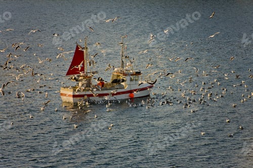 Preview: Fishing Boat Near Ornes, Meloy, Nordland County, Norway,