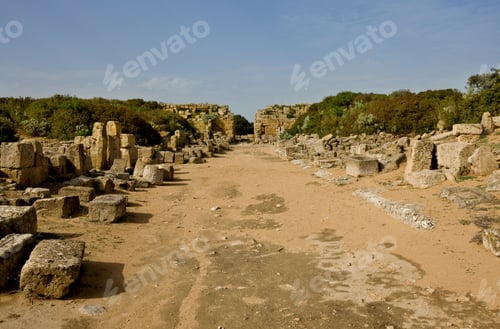 Preview: Road To The Akropolis, Selinunte, Province Of Trapani, Sicily, Italy