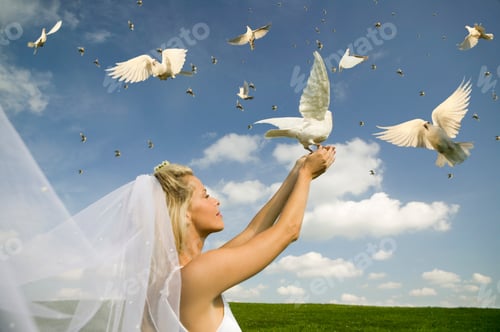 Preview: Bride Holding Dove In Field