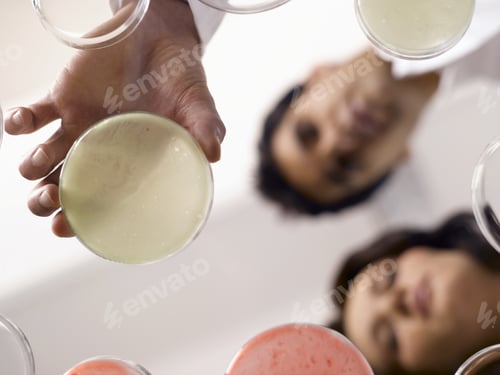Visualização: Visão de baixo ângulo de cientistas observando placas de Petri