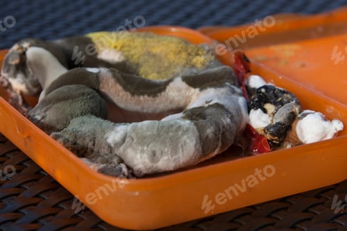 Preview: Moldy Old Pretzel In Lunchbox Woerthsee, Bavaria, Germany
