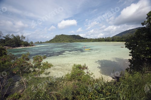 Preview: Trees Along Beach, Port Launay Marine National Park, Mahe', Seychelles