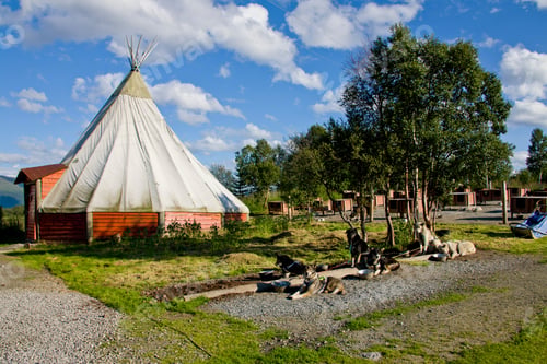Preview: Huskies And Lavvo At The Tromso Wilderness Center On Kvaloya Island, Tromso, Troms, Norway