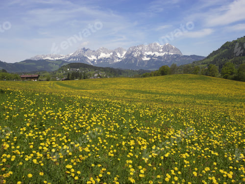 Preview: Scenic View Of Meadow And Mountains, Kaisergebirge, Tyrol, Austria