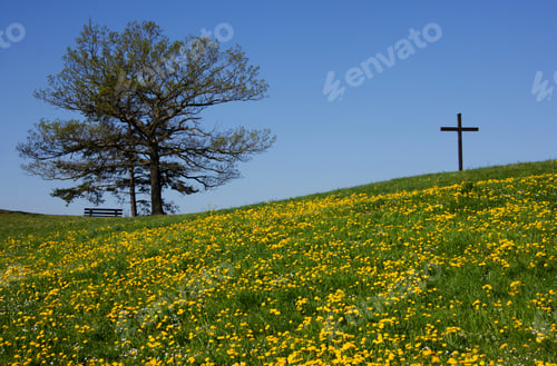 Preview: Meadow With Dandelion And Cross