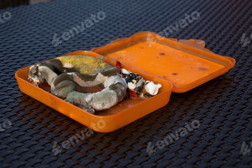 Preview: Moldy Old Pretzel In Lunchbox Woerthsee, Bavaria, Germany