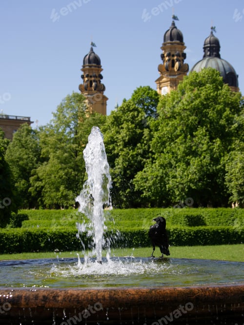 Preview: Crow Sitting On A Fountain With Theatinerkirche In Background, Munich, Germany