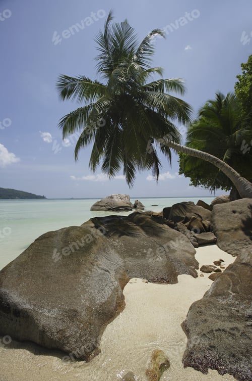 Preview: Rocks And Palm Trees Along Beach, Anse A La Mouche, Mahe', Seychelles