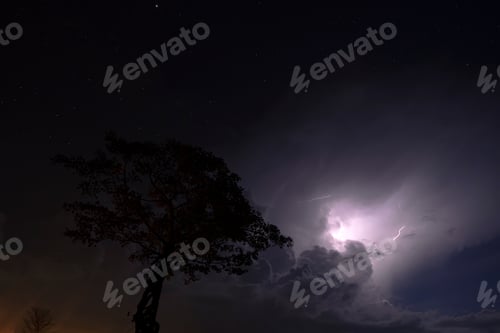 Preview: Silhouette Tree In The Night With Rain Cloud And Lightning Cloud Background.
