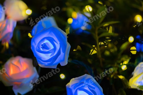 Preview: Illumination Of Gotemba Tokinosumika(Rose Illumination)