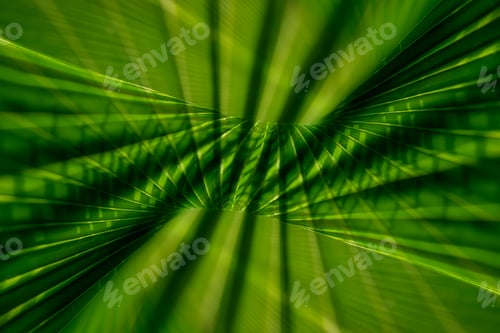 Preview: Abstract Of Green Palm Leaf Background With Dark Light.