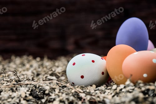 Preview: Happy Easter Day, Bunny And Egg, Christians Worldwide Celebrate