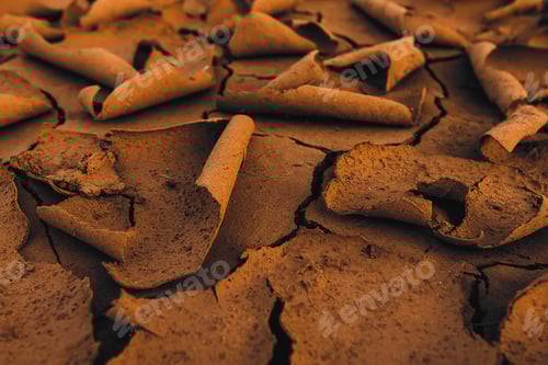 Preview: Close Up Dry Soil In Dark Brown Background.