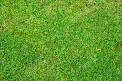 Preview: Green Artificial Turf Pattern ,Texture For Background