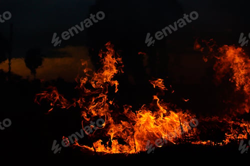 Preview: Fire Grass Spring