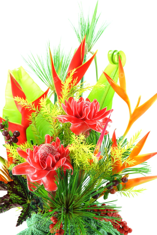 Preview: Flower Arrangement With Tropical Flowers.
