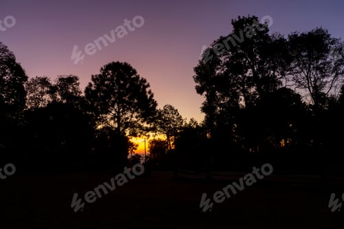 Preview: Silhouette Landscape And Tree In The Golden Hour.