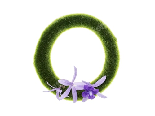 Preview: Sandpaper Vine Or Purple Wreath Flower With Green Circle On White Background. (Petrea Volubilis)
