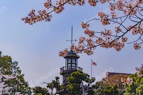 Preview: Cherry Blossoms At Tokyo Chidorigafuchi