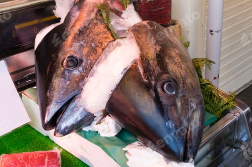 Preview: Scenery Of Tokyo Tsukiji