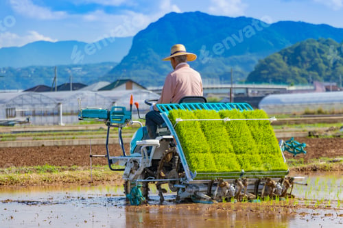 Preview: Rice Planting In The Early Summer Of Shizuoka Prefecture