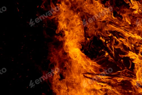 Preview: The Movement Of The Flames In The Dark