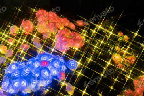 Preview: Illumination Of Gotemba Tokinosumika(Rose Illumination)
