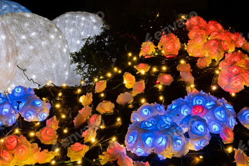 Preview: Illumination Of Gotemba Tokinosumika(Rose Illumination)