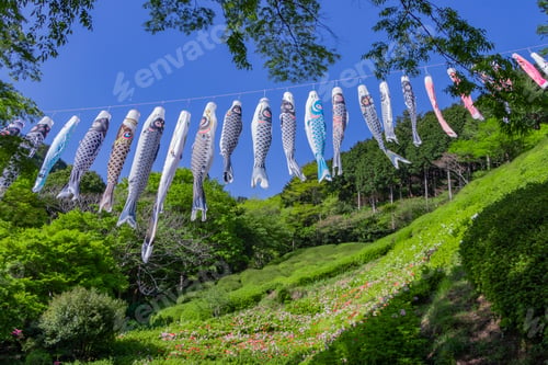 Preview: Scenery Of Himenosawa Park In Shizuoka Prefecture