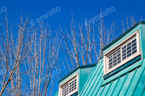 Preview: Dead Tree With The Blue Roof