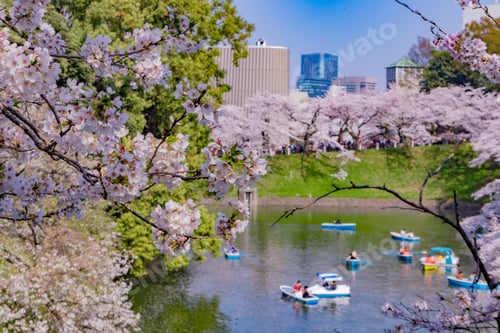 Preview: Cherry Blossoms At Tokyo Chidorigafuchi
