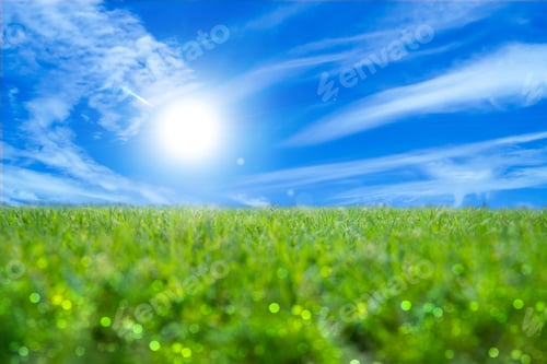 Preview: Green Grass And Sky.