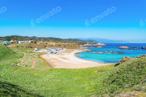 Preview: Wild Narcissus Community And Red Aloe Flowers In Tsumekizaki, Shimoda City, Shizuoka Prefecture