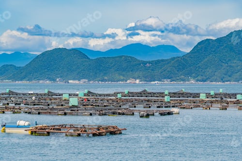 Preview: Uchiura Sea In Numazu City, Shizuoka Prefecture