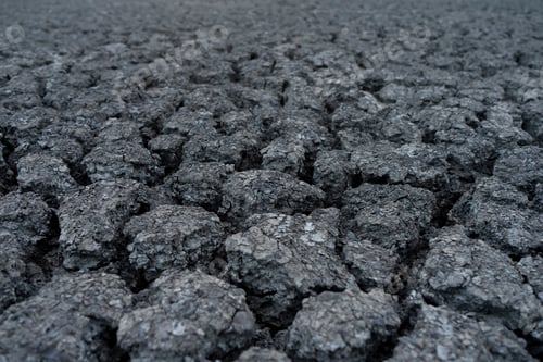Preview: Dry Soil Background In The Dry Season.