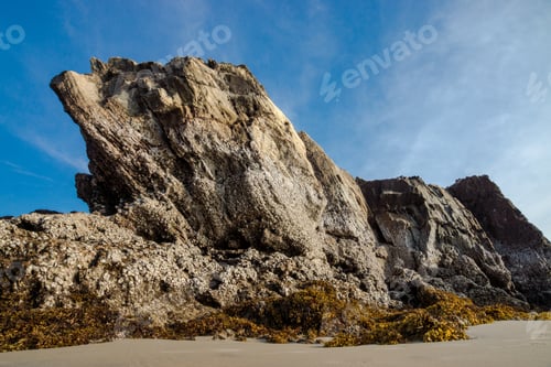 Visualização: Rocks And Seaweed (Sargassum Sp.), Phang Nga - Thailand.